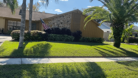 LIME Sod Install Professionals
