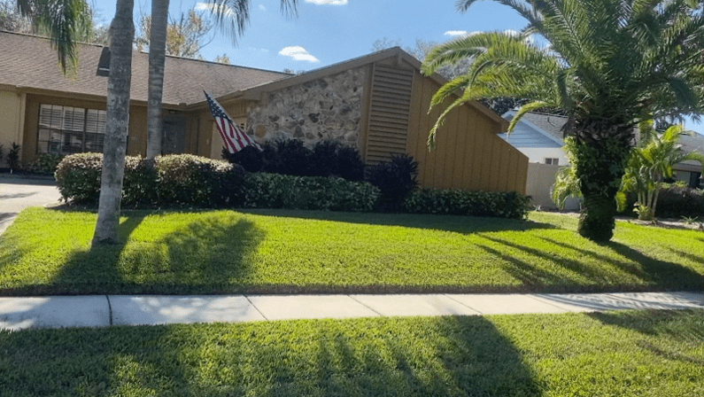 LIME Sod Install Professionals