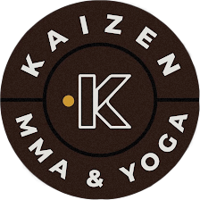Kaizen Tampa
