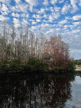 Restful Park: Starkey LL