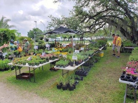 USF Botanical Gardens