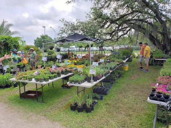 USF Botanical Gardens