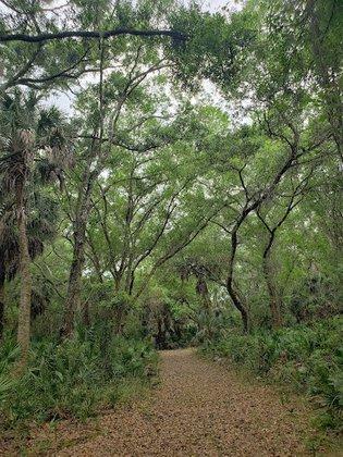 Town N Country Nature Preserve.