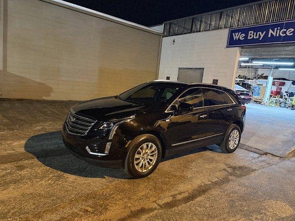 We Buy Nice Cars