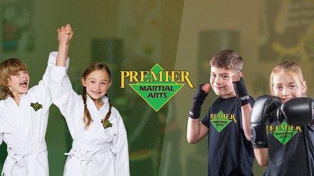 Premier Martial Arts Fishhawk