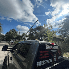 Buccaneer Tree Service