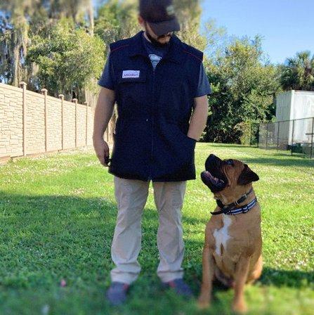 Patriot Canine Services