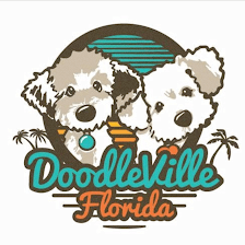 Doodleville Florida