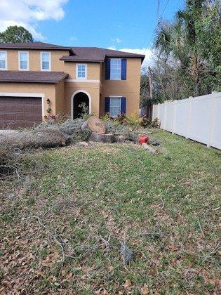 Southern Roots Tree and Landscape