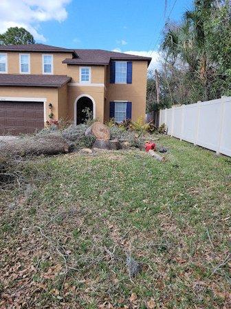 Southern Roots Tree and Landscape