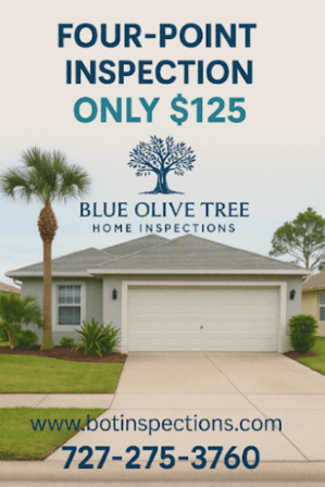 Blue Olive Tree Home Inspections LLC