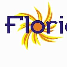 Florida Film Solutions, LLC