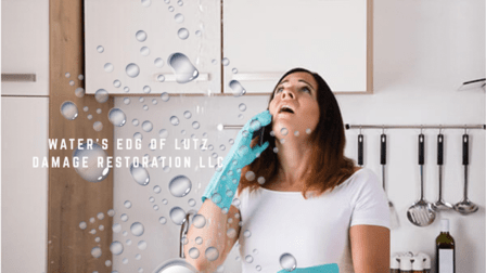 WATER'S EDG OF LUTZ, Damage Restoration LLC