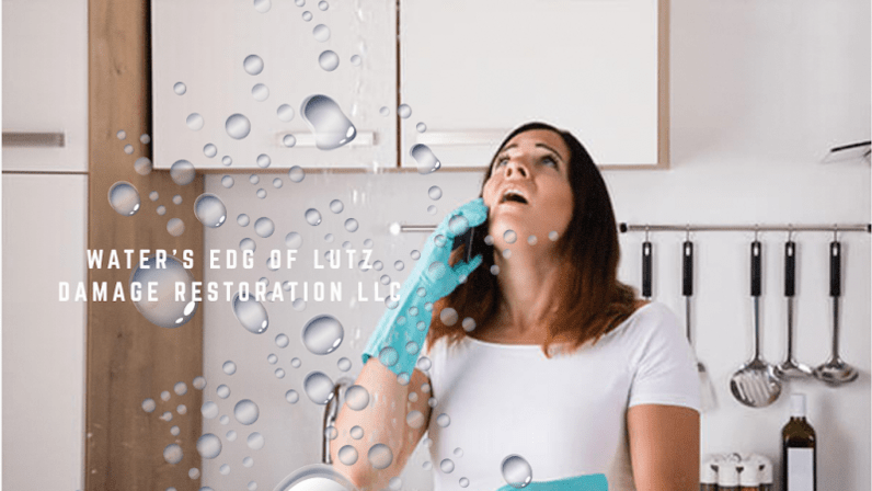 WATER'S EDG OF LUTZ, Damage Restoration LLC