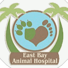 East Bay Animal Hospital