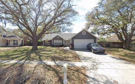 Tampa Inspection Company