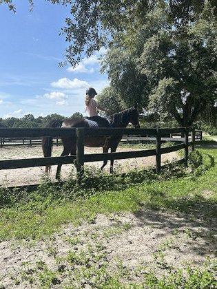 Licciardello Stables