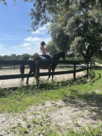 Licciardello Stables