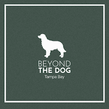 Beyond the Dog - Tampa Bay