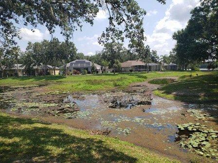 Greenacre Properties Inc