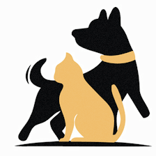 Hometown Veterinary Partners St Petersburg