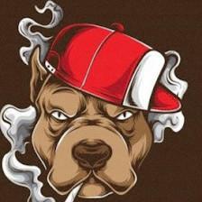 angry pitbull vape & smoke shop