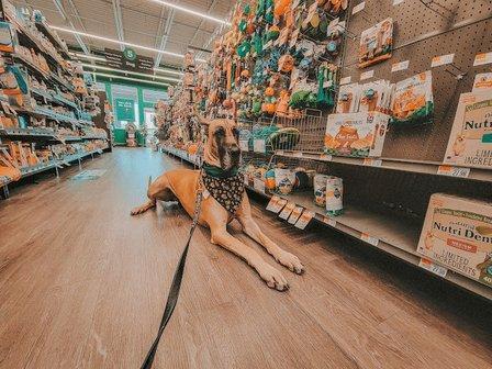 Pet Supplies Plus Zephyrhills