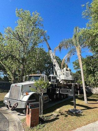 Buccaneer Tree Service