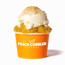 The Peach Cobbler Factory Tampa/USF
