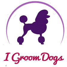 I Groom Dogs