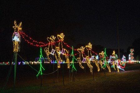 Nights of Shimmering Lights