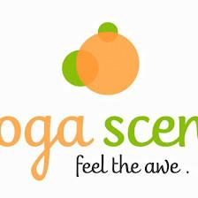 Yoga Scene