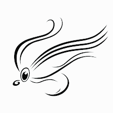 Gulf Coast Fly Fishing Charters