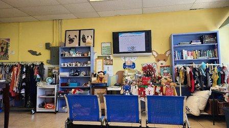 Hometown Veterinary Partners St Petersburg