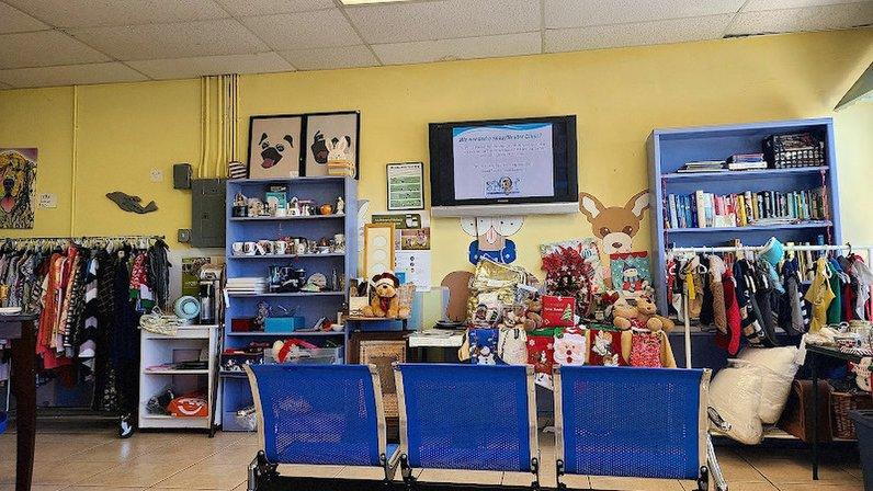 Hometown Veterinary Partners St Petersburg