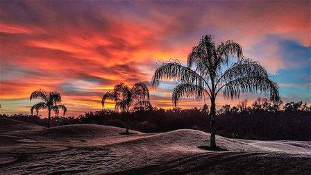 Dreamscapes Irrigation & Well Drilling Inc