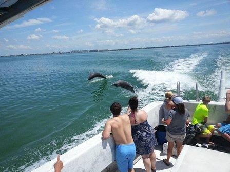 Dolphin Snorkeling Cruise
