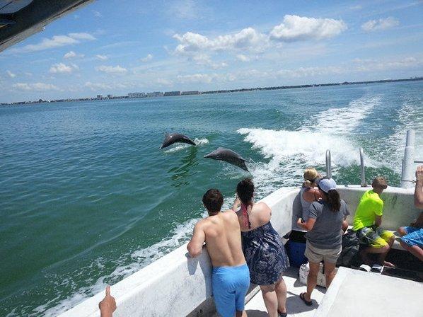 Dolphin Snorkeling Cruise