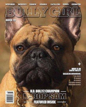 Elite Bully Kennels