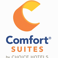 Comfort Suites Tampa - Brandon