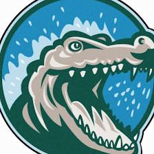 Alligator Media Ecommerce SEO