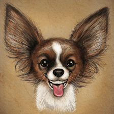 Chip's Clips Dog Grooming