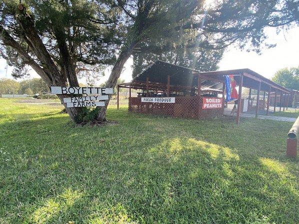 Boyette Family Farms