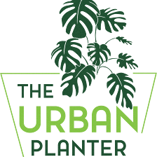 The Urban Planter