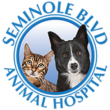 Seminole Blvd Animal Hospital