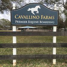 Cavallino Farms - Equine Boarding Facility