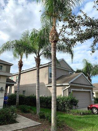 HomeTeam Lawn & Landscape llc