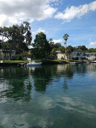 Manatee Tour and Dive