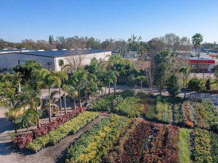Treemart of Florida Inc.