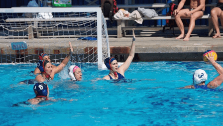 Tampa Bay Water Polo